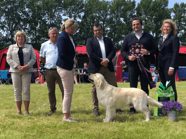 Supreme Winner 2019